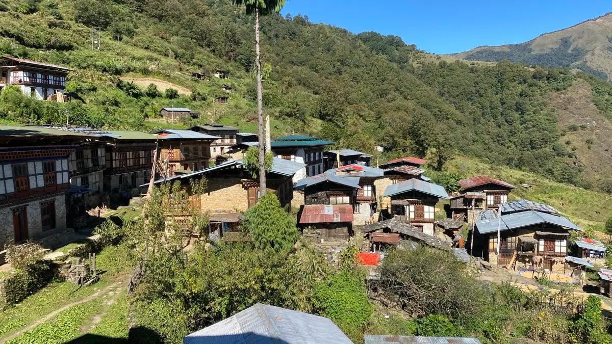 Village houses on a forested hillside