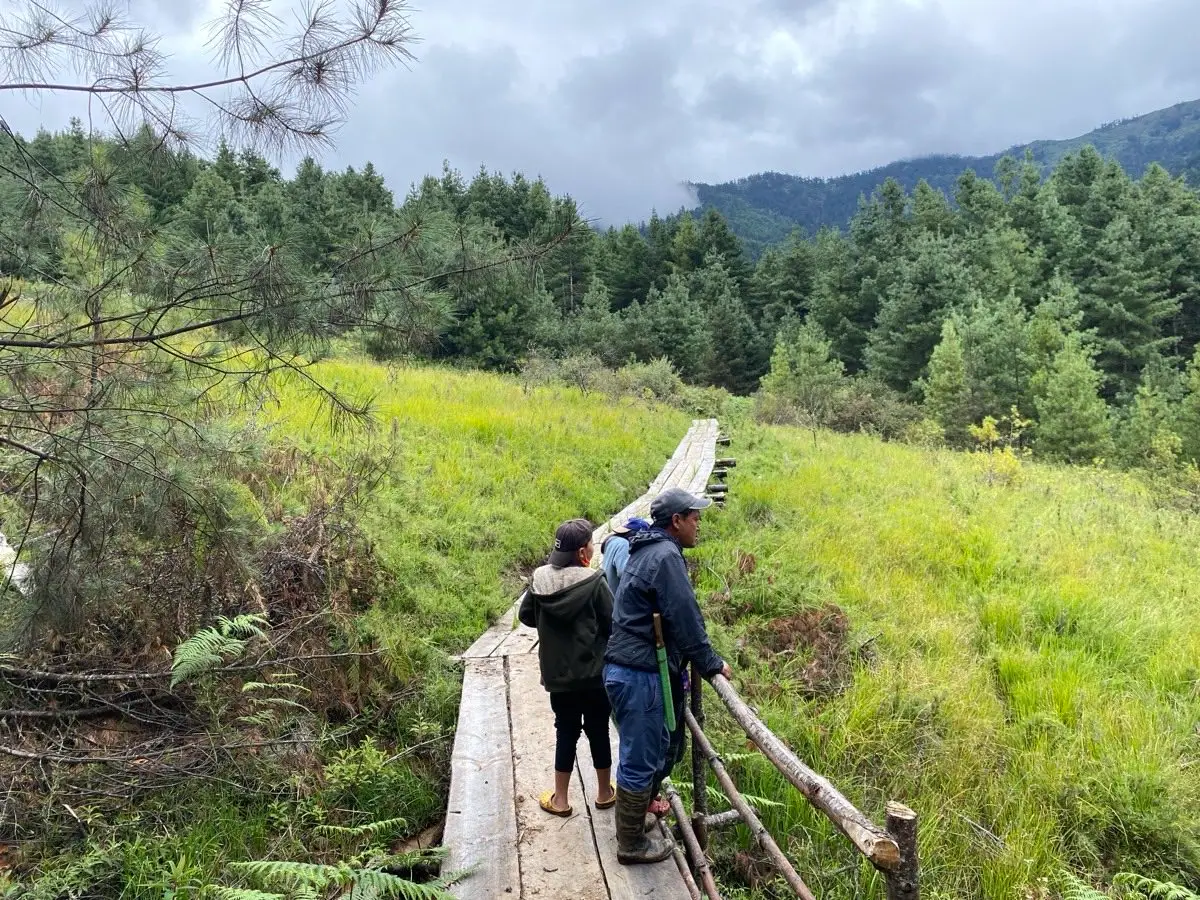 Two walkers on a wooden boardwalk through a green valley